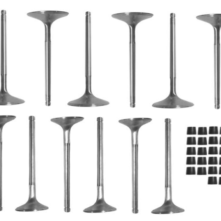 Riva, Ultra 300/310 Valve Kit