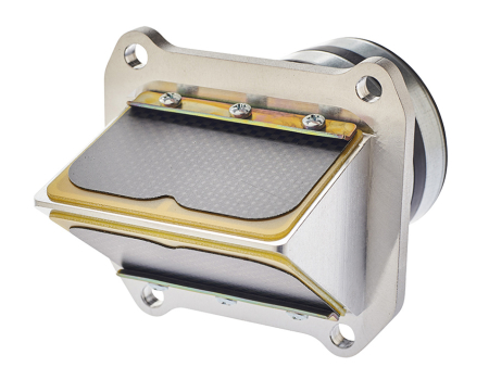 Boyesen Rad Valves