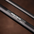 ren838-01-SI-05-185-2